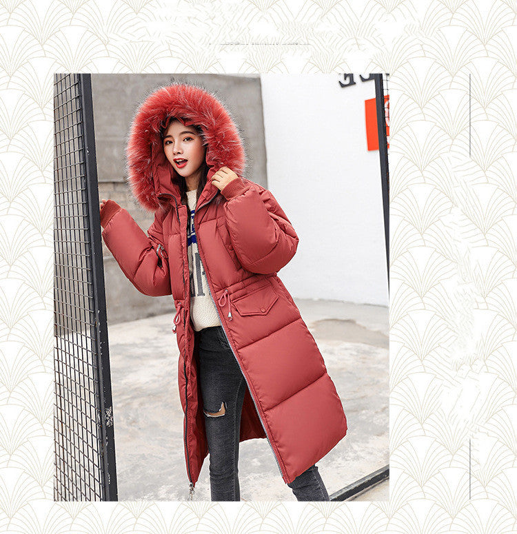 Hooded  Jacket