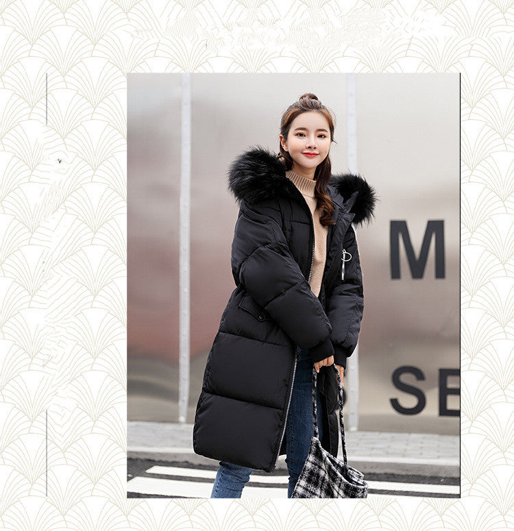 Hooded  Jacket