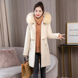 Cotton-padded Jacket (tm 6XL !!)