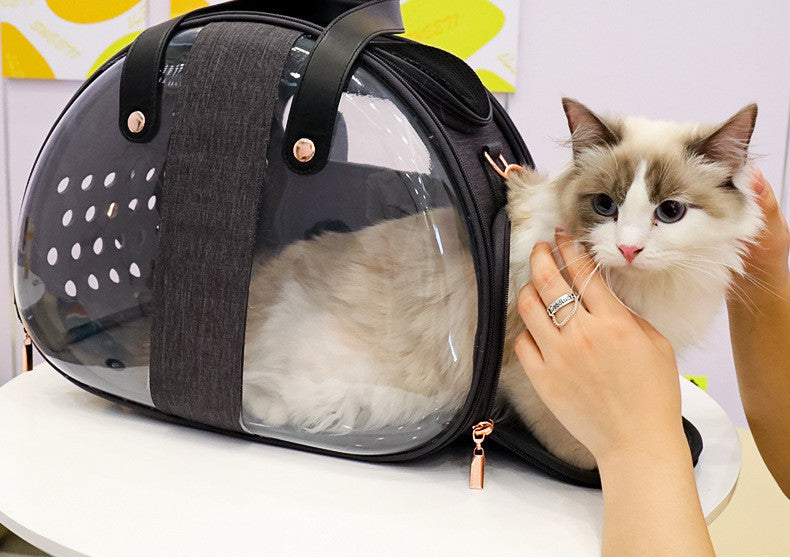 Double Transparent Cat Bag