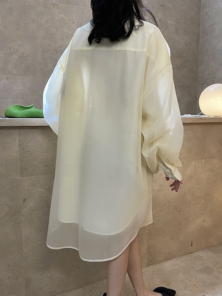 Onze size Blouse dress