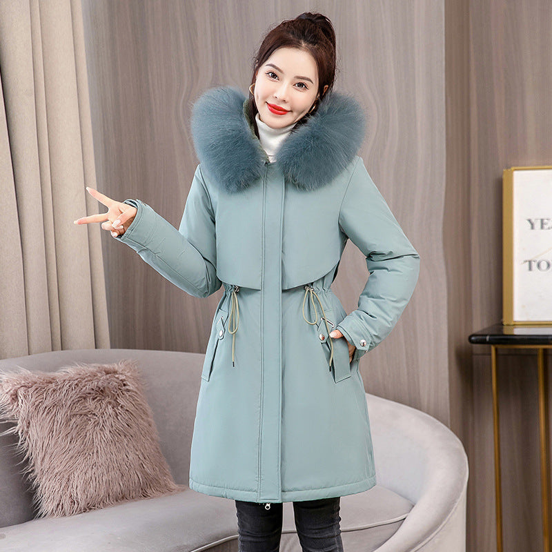 Cotton-padded Jacket (tm 6XL !!)