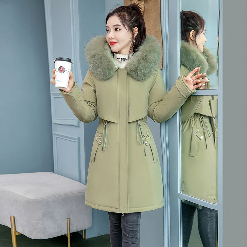 Cotton-padded Jacket (tm 6XL !!)