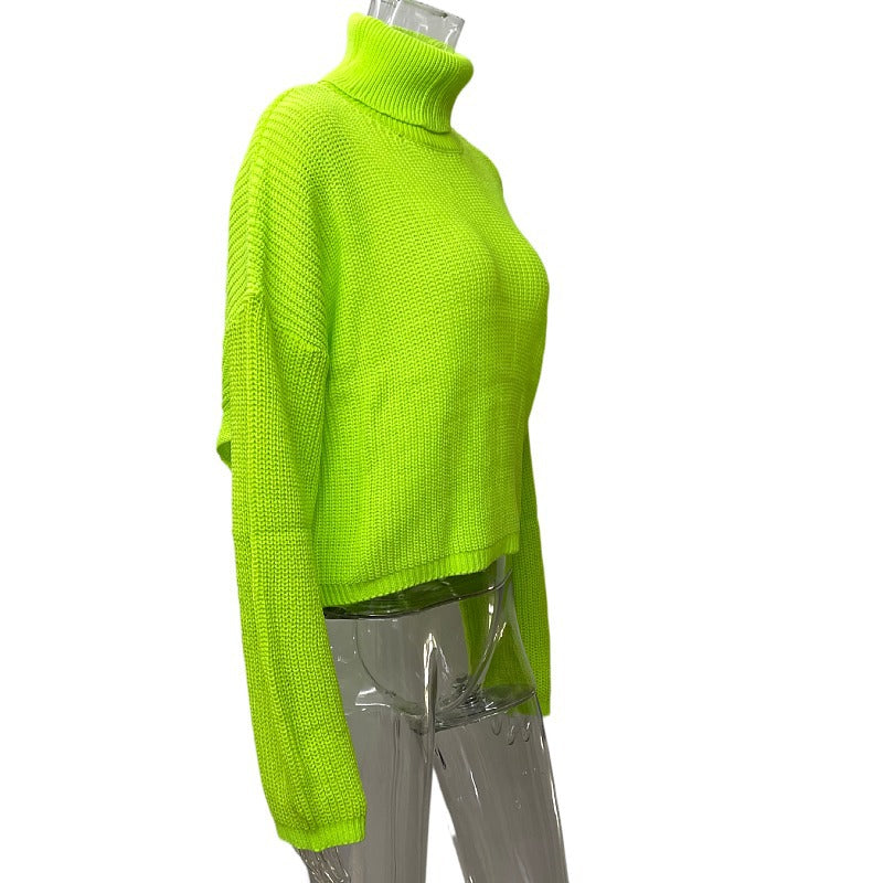 Long Sleeve Turtleneck Sweater