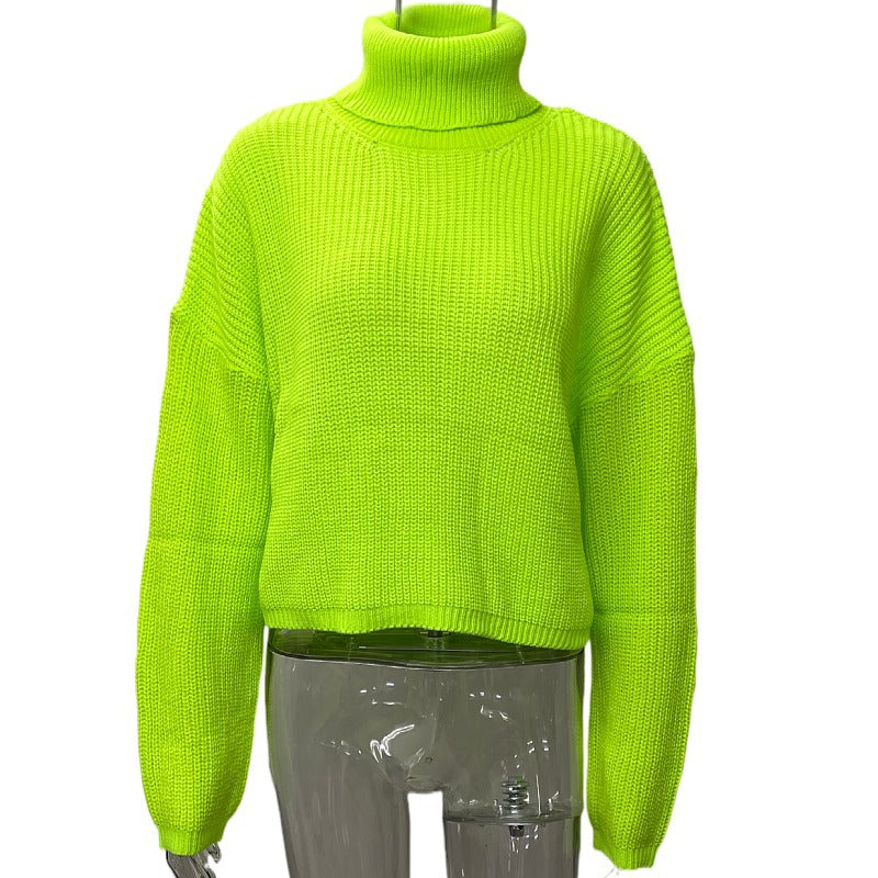 Long Sleeve Turtleneck Sweater