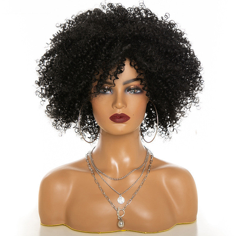 Afro Kinky Curly Hair Wigs (heat resisted syntetic)