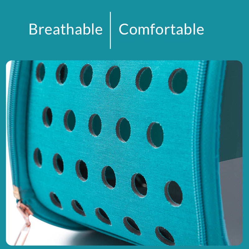 Double Transparent Cat Bag