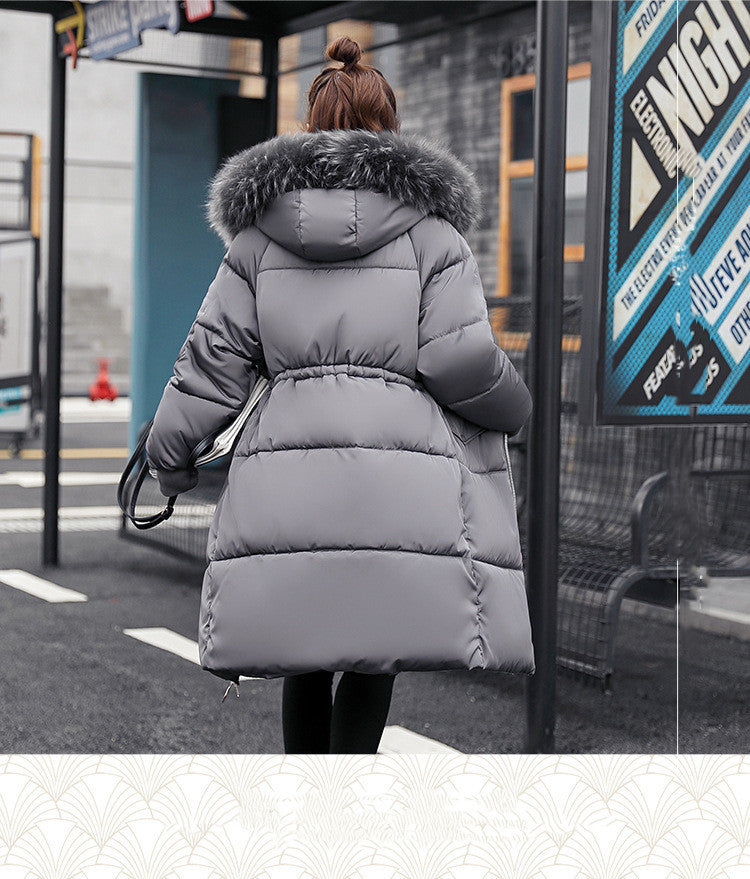 Hooded  Jacket
