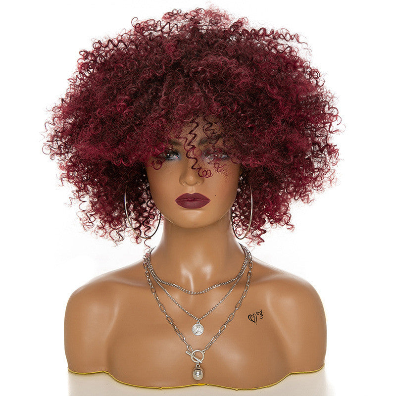 Afro Kinky Curly Hair Wigs (heat resisted syntetic)