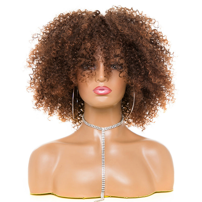 Afro Kinky Curly Hair Wigs (heat resisted syntetic)