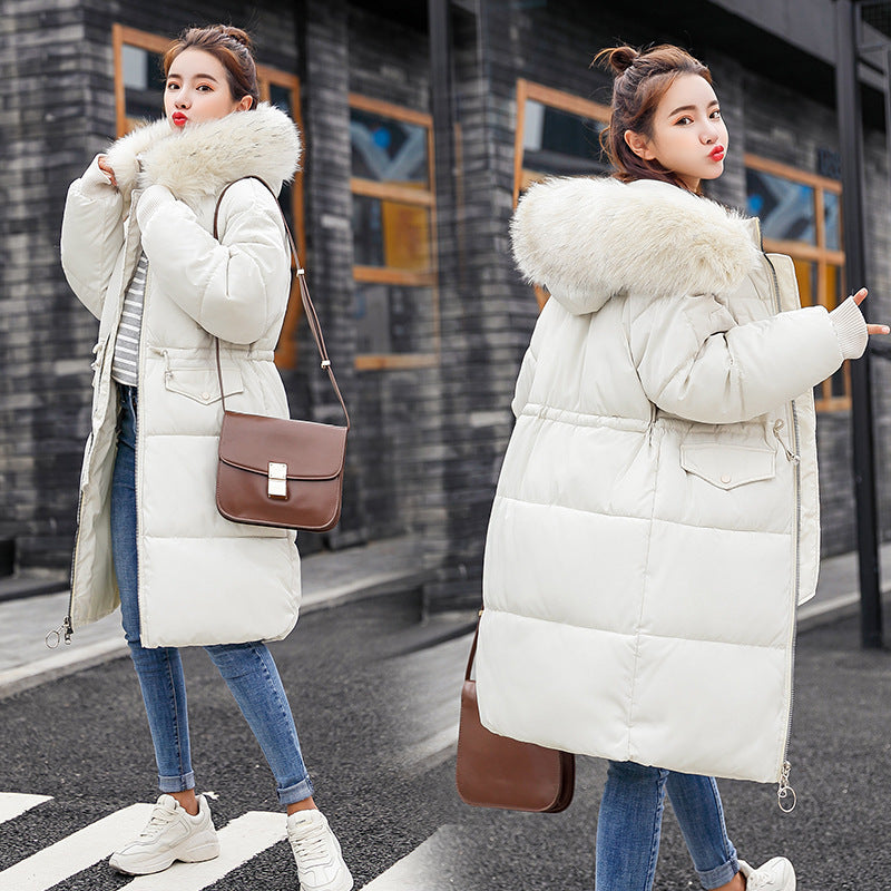 Hooded  Jacket